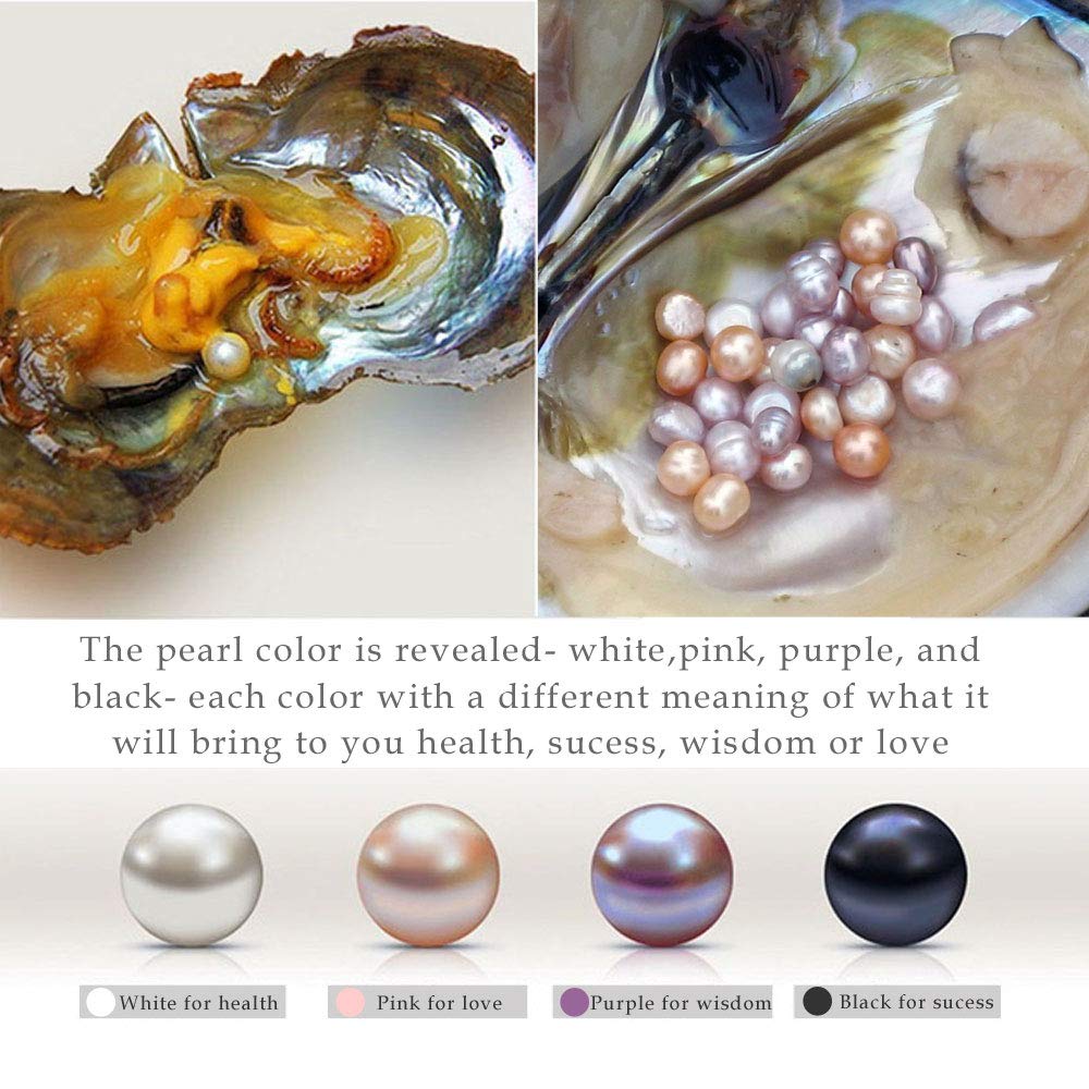 925 Sterling Silver Freshwater Cultured Pearl Dangle Drop Earrings for Women AAA+ Quality 8mm Black Pearl Women's Earrings