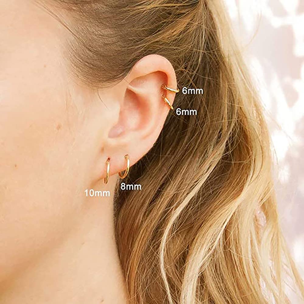 316L Surgical Stainless Steel Huggie Hoop Earrings Rose Gold 6mm 8mm 10mm 12mm Hypoallergenic Earrings Hoop Cartilage Helix Lobes Hinged Sleeper Earrings For Men Women (G04)