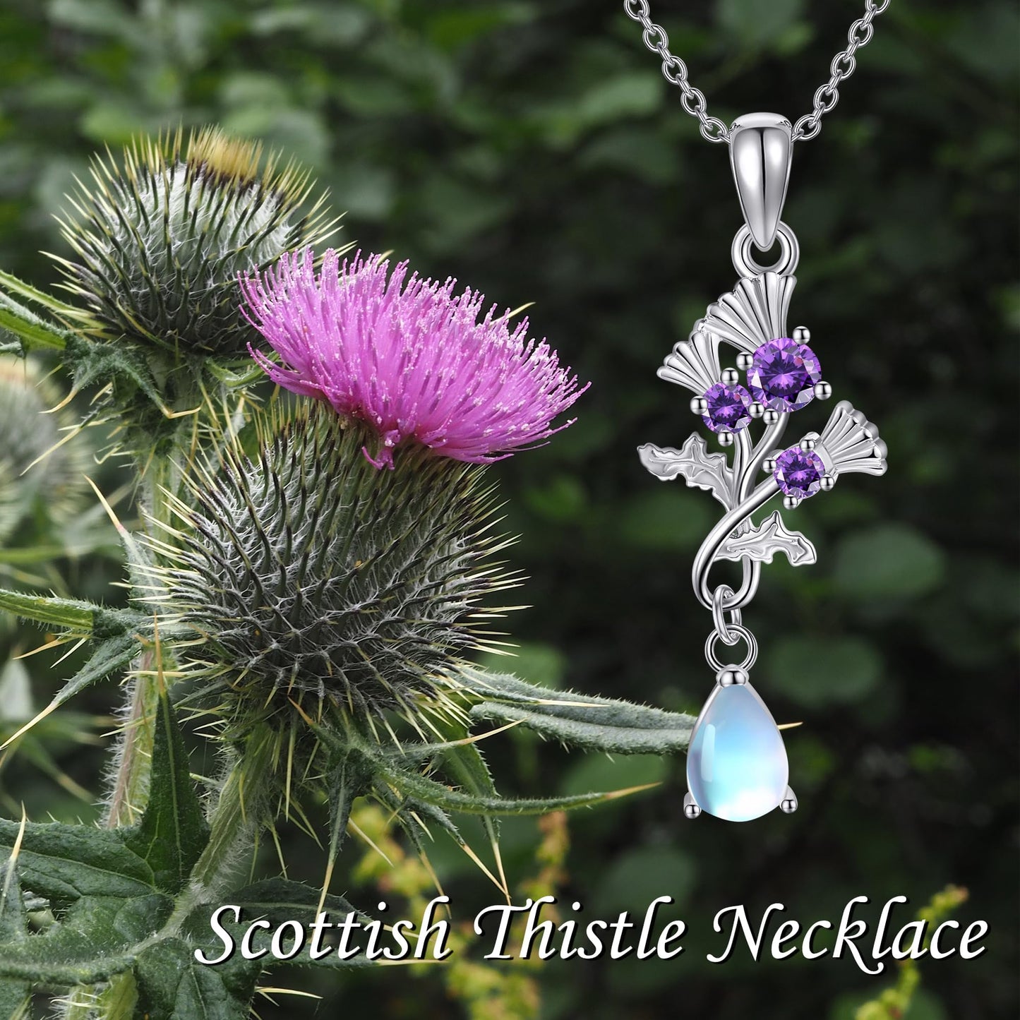 YAFEINI Scottish Thistle Necklace 925 Sterling Silver Moonstone Thistle Pendant Scotland Mother's Day Jewelry for Women Mom
