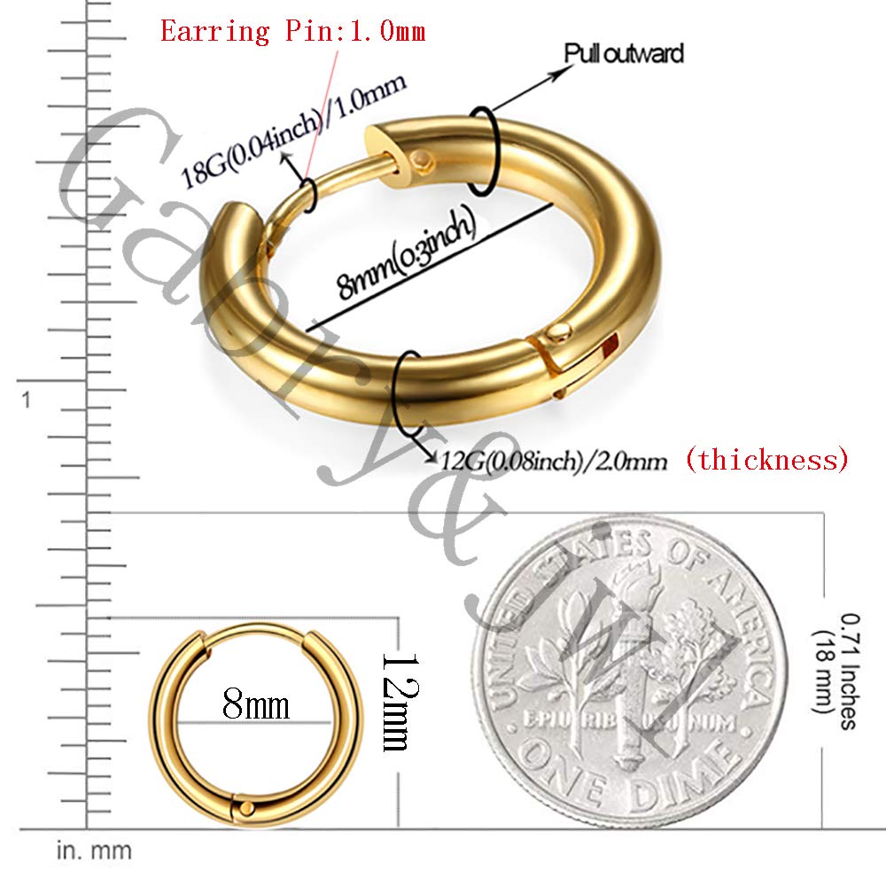 316L Surgical Stainless Steel Huggie Hoop Earrings 8mm Hypoallergenic Earrings Hoop Cartilage Helix Lobes Hinged Sleeper Earrings For Men Women(B07:8mm Rose Gold+Gold+Silver+Black(8Pcs))