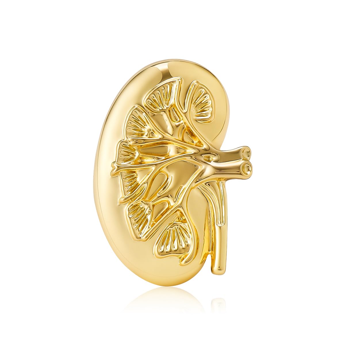 Dr's gift Kidney Anatomy Enamel Brooch Pin14K Plated Gold Renal Lapel Badge Endocrinology Urology Jewelry for Doctors Nurses Medical Students