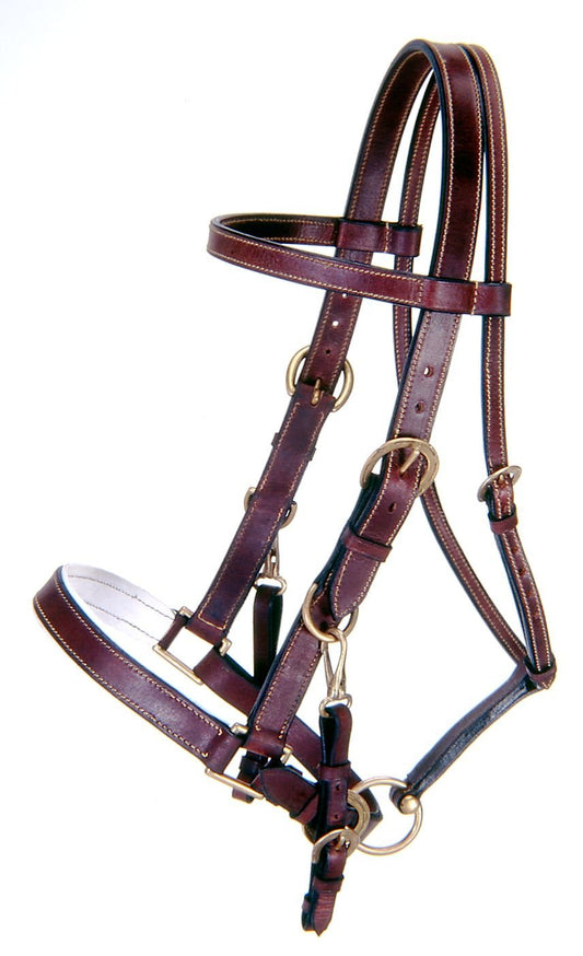Tough 1 mens australian-equestrian-style horse halters, Black, US