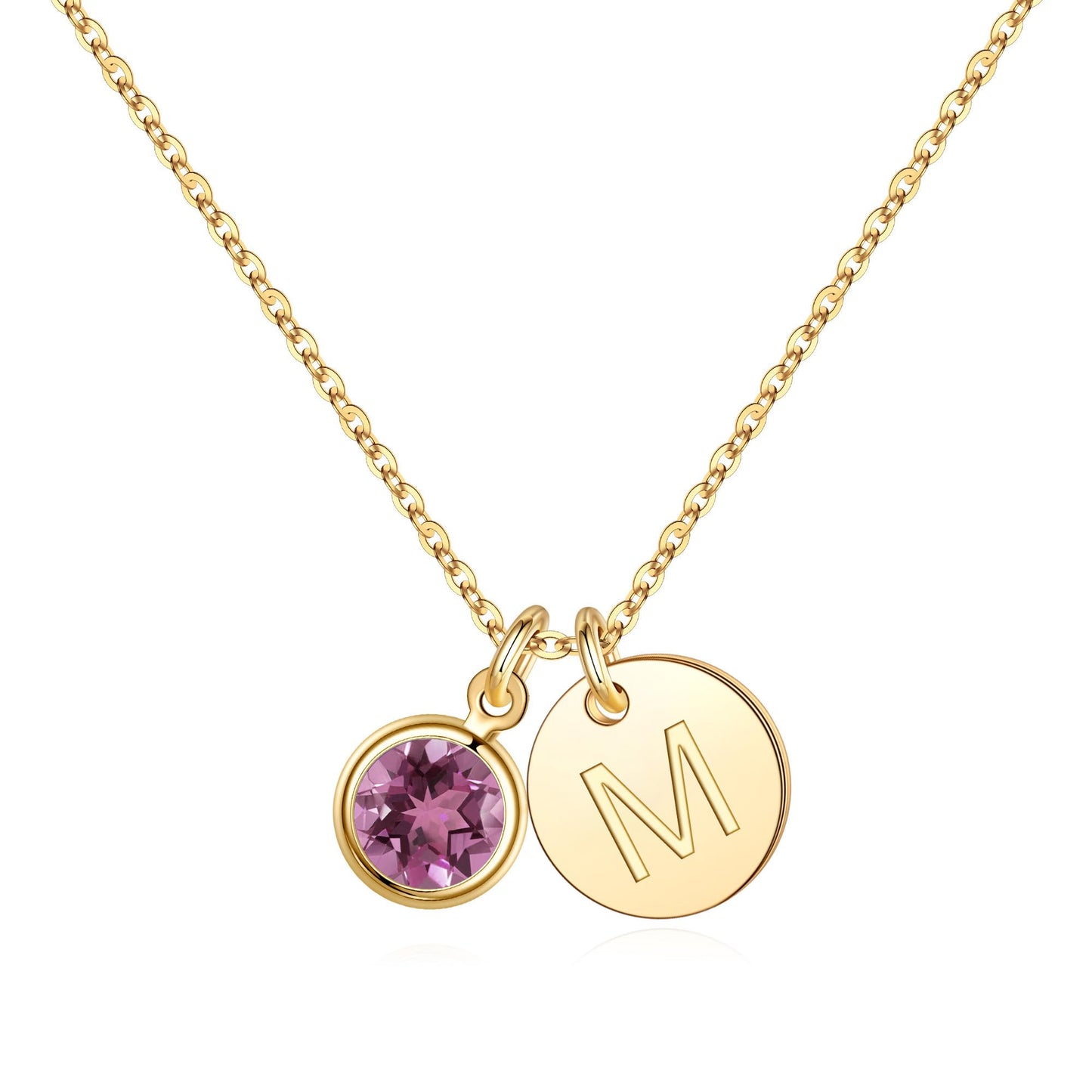 Hidepoo Initial Birthstone Necklace Gifts - Personalized Mothers Day Birthday Gift for Woman Wife Sister Grandma Mom, February Amethyst Birthstone Jewelry for Women, Disc Letter M Necklaces