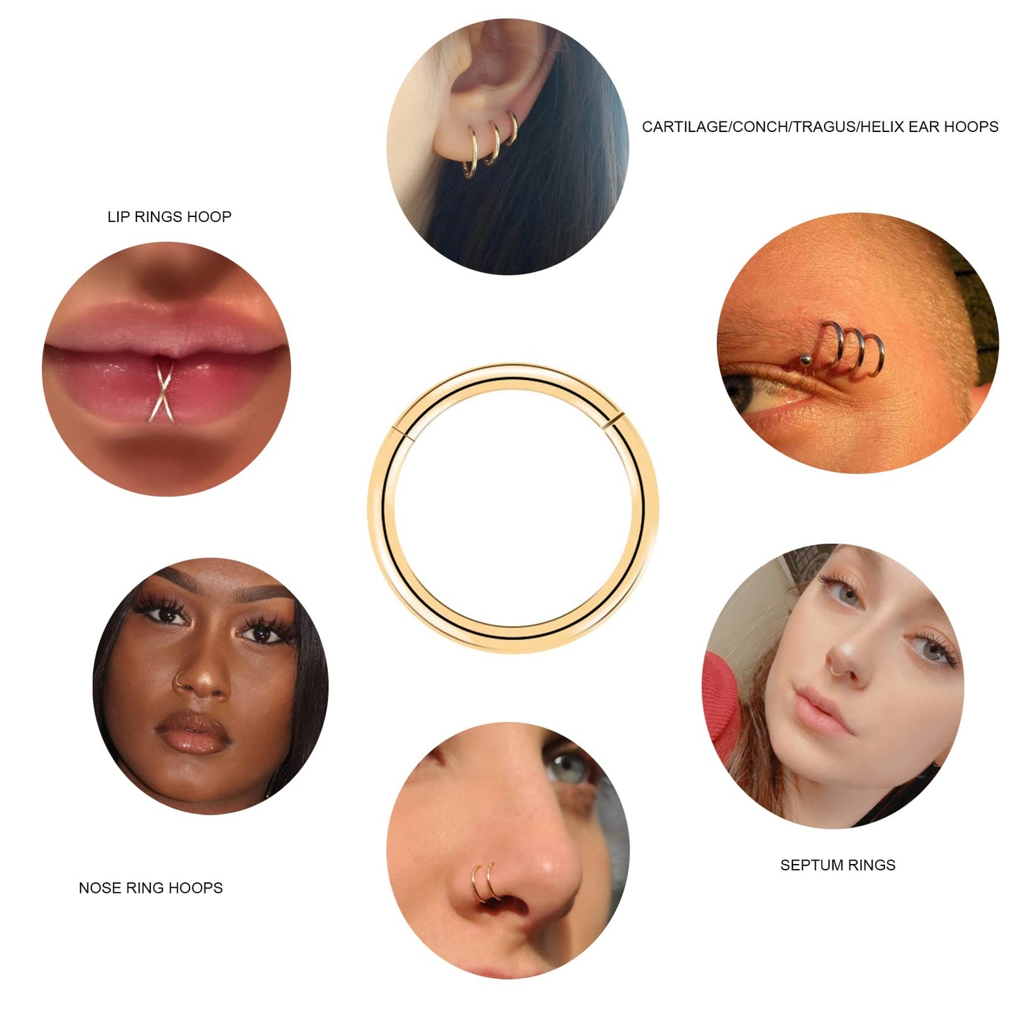 arvinpiercing BOGKU 6pcs G23 Titanium Hinged Nose Rings Hoop 14 Gauge 12mm Nose Septum Clicker Segment Rings Cartilage Conch Tragus Helix Rook Hoop Earring Nose Ear Piercing Hoops