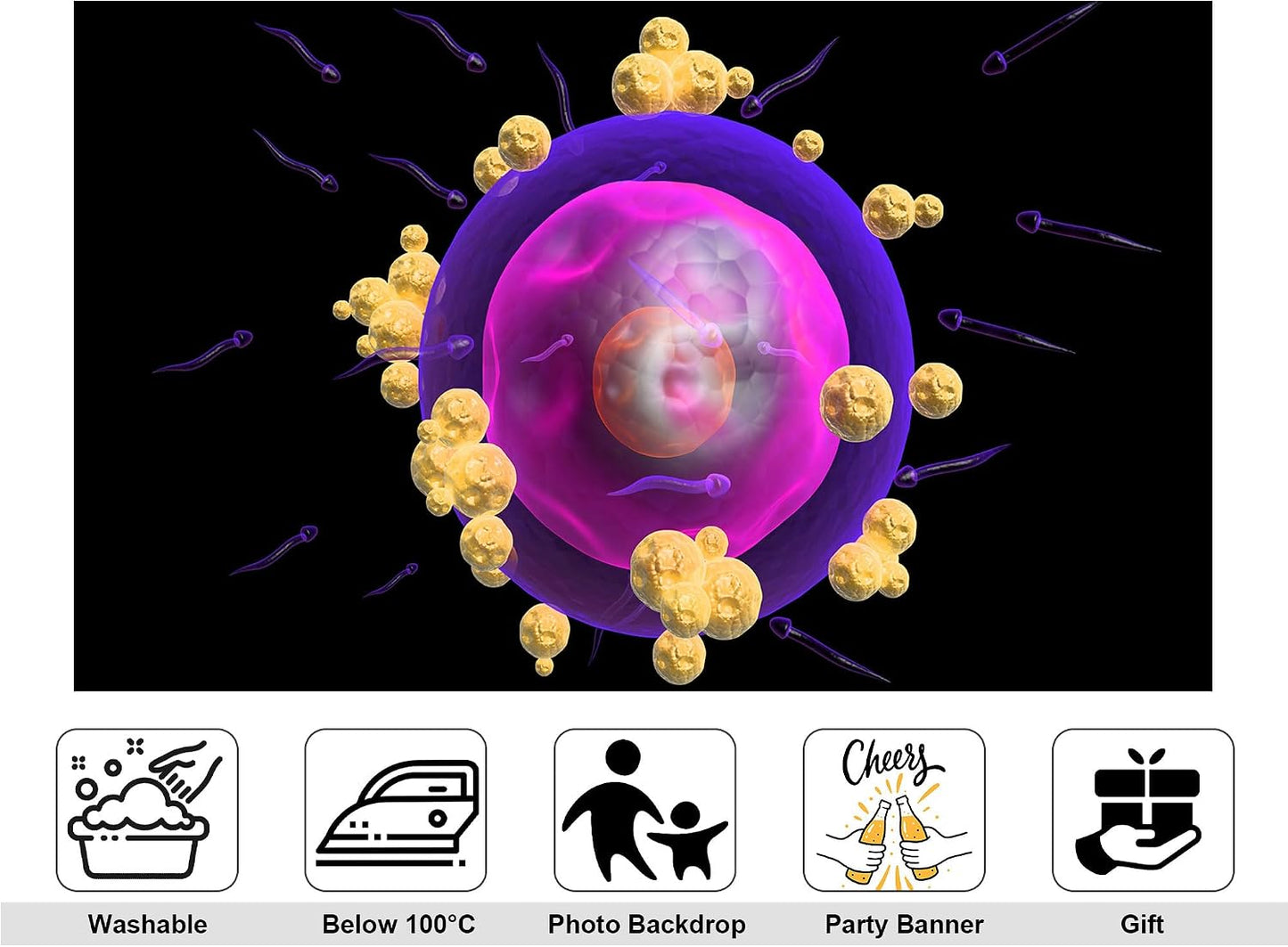 KeyWork 5x4ft Human Egg Cell Fertilization Backdrop Reproductive Science Photography Background for Health Fair