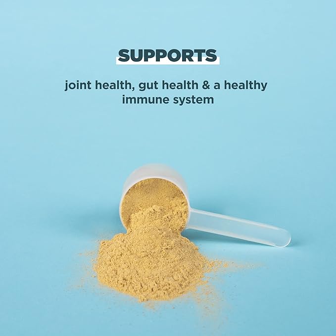 Ancient Nutrition Grass Fed, Bone Broth Protein Powder, 20g Protein, Hydrolyzed Collagen Peptides, Keto & Paleo Friendly, Supports Joint, Gut Health, Vanilla, 40 Servings