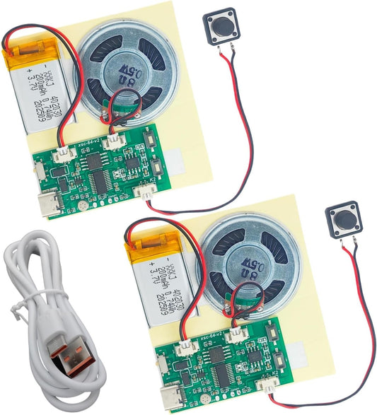 MUXWELL 2pcs DIY Audio Recorder and Player kit,Record standalone or Download Music via USB Type-C,Compact Size