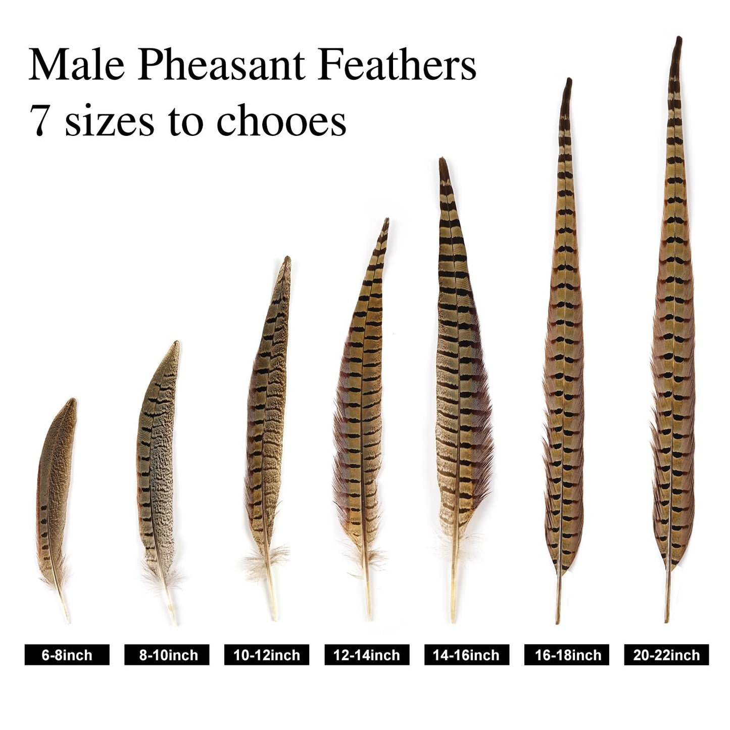 MAOFENG 12pcs Natural Feathers Male Ringneck Pheasant Tails Feathers 16-18inch 40-45cm for Crafts Wedding Party Performance Home DIY Decoration,Male Pheasant Feathers