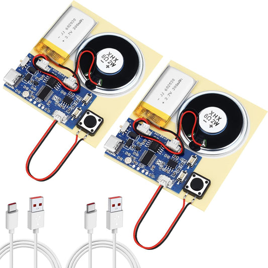 Ransanx 2PCS Capability16 Sound Recorder Module DIY Music Voice Recording Module Chip with Speaker,Type-C Cable,Easy