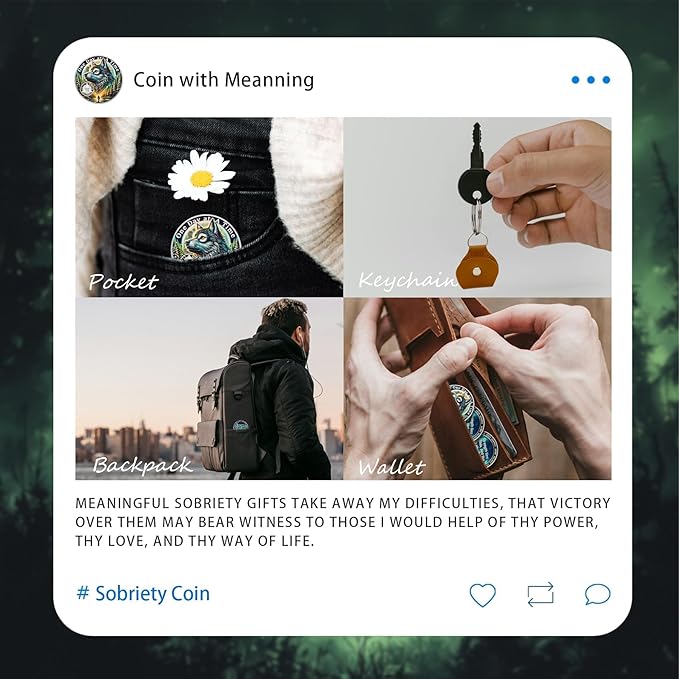 One Day at a Time 8 Year Sobriety Coin - Recovery Aurora Forest Wolf AA Coins - Addiction NA AA Chips and Medallions - Celebrate 1-20 Living Clean Narcotics Alcoholics Anonymous Gifts for Men Women