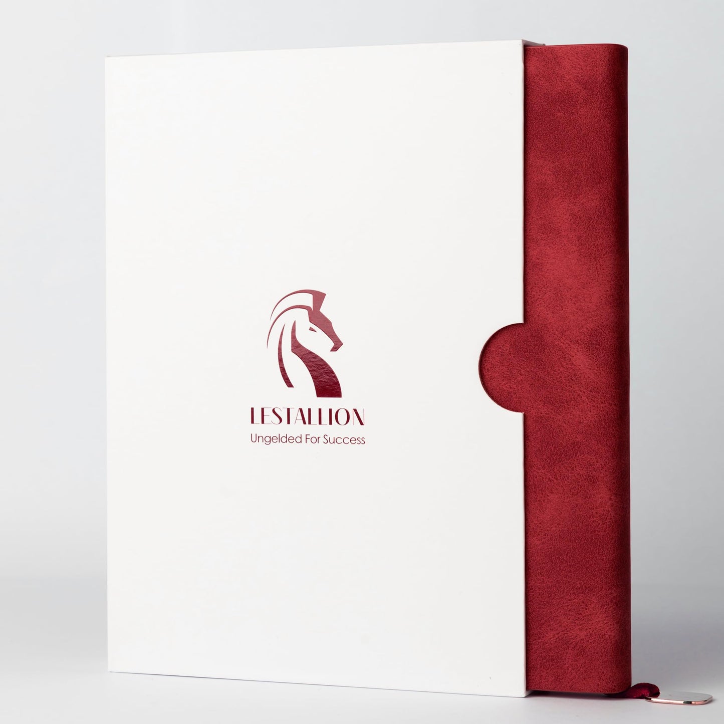LeStallion Red Notebook For Writing - 120GSM A5 Red Journal For Fountain Pens - 210 Numbered Pages, Table Contents | High End Soft Cover Faux Leather Journal
