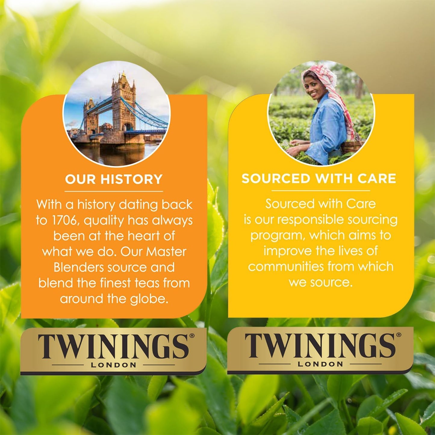 Twinings Pure Oolong Tea - Golden Caffeinated Tea Bags, 2-Pack of 20 Individually Wrapped Bags