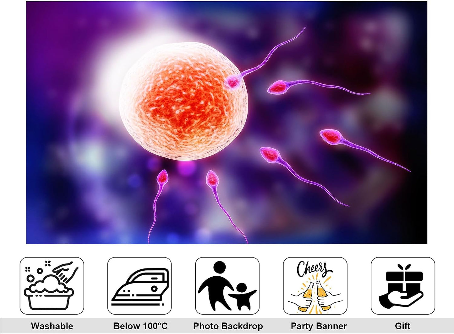 KeyWork 5x4ft Human Fertilization Illustration Backdrop Reproductive Science Photography Background for Health Fair
