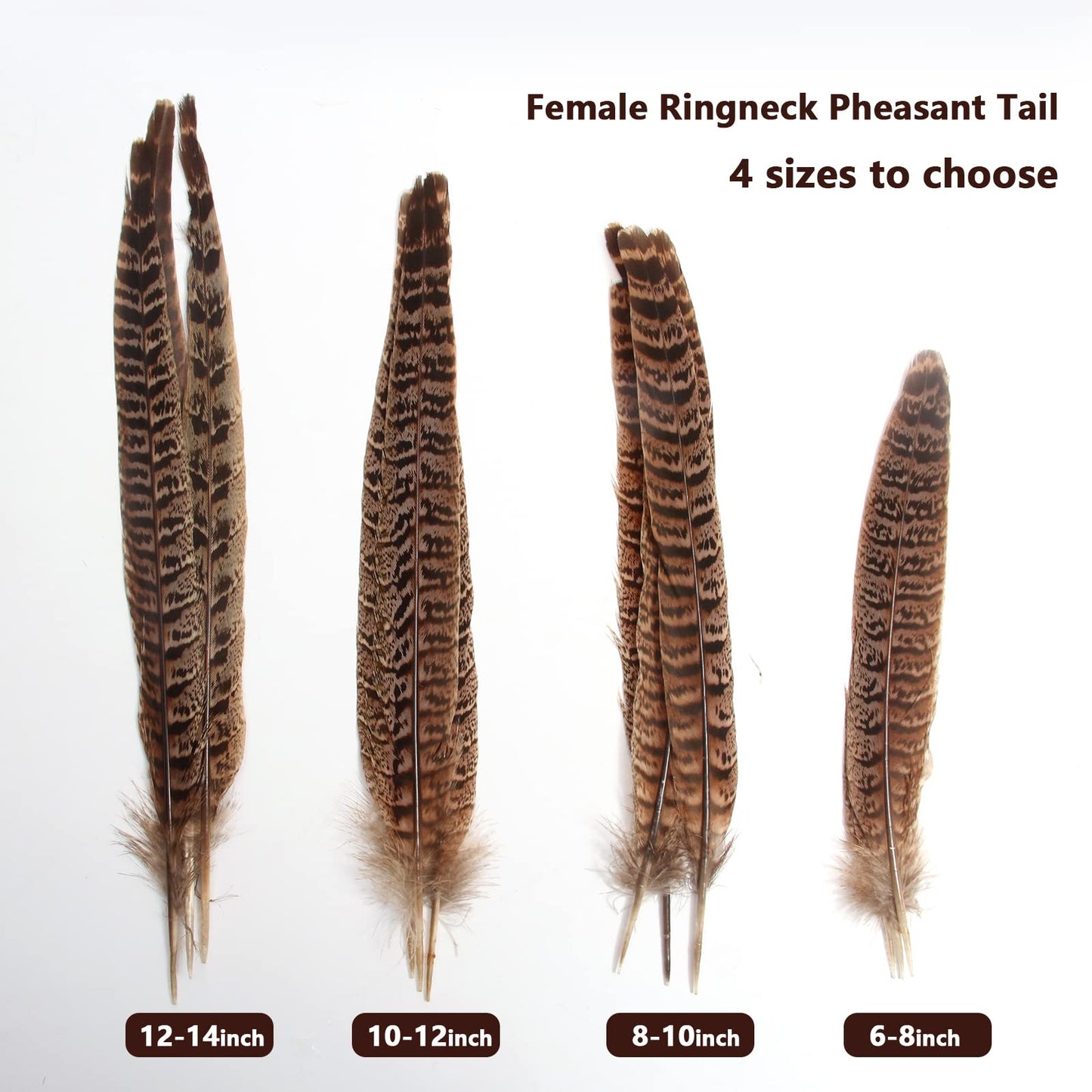20pcs Female Pheasant Feather Natural Ringneck Tails Feathers 12-14inch 30-35cm for Crafts Home Wedding Party Performance DIY Decoration Pheasant Feather,Female Pheasant Feathers