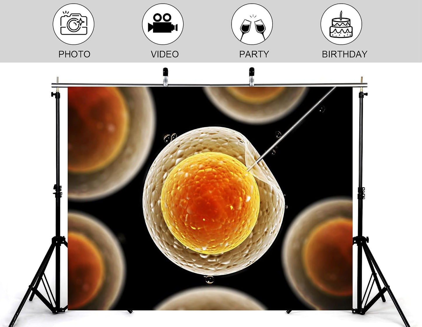 KeyWork 8x6ft Egg Cell Fertilization Backdrop Reproductive Medical Photography Background for Science Fair Health Event