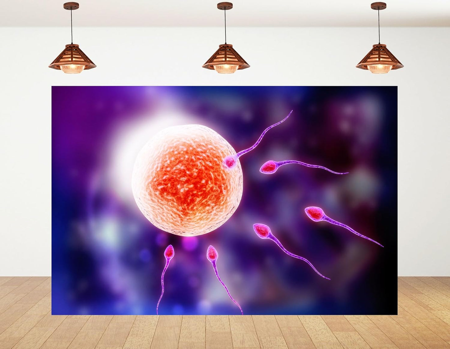 KeyWork 10x5ft Human Fertilization Illustration Backdrop Reproductive Science Photography Background for Health Fair
