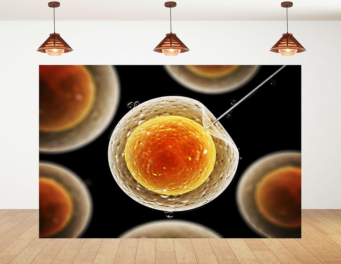 KeyWork 8x5ft Egg Cell Fertilization Backdrop Reproductive Medical Photography Background for Science Fair Health Event