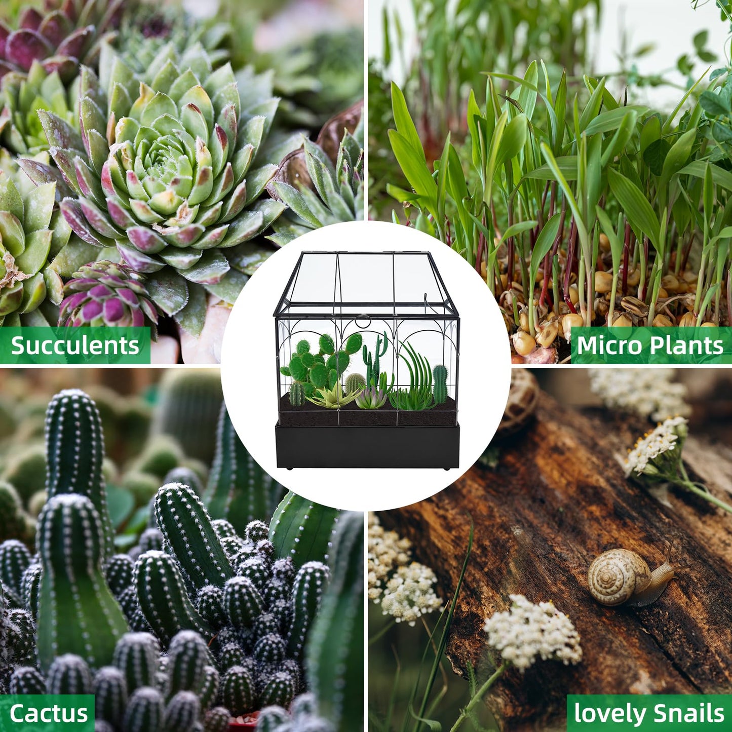 HighFree Glass Terrarium with Metal Tray, Glass Greenhouse Terrarium Kit for Succulents, Cacti, Snails, Spiders, and Miniature Reptiles, Black (Large-9.45" L x 5.7" W x 11.8" H)
