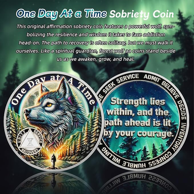One Day at a Time 10 Year Sobriety Coin - Recovery Aurora Forest Wolf AA Coins - Addiction NA AA Chips and Medallions - Celebrate 1-20 Living Clean Narcotics Alcoholics Anonymous Gifts for Men Women