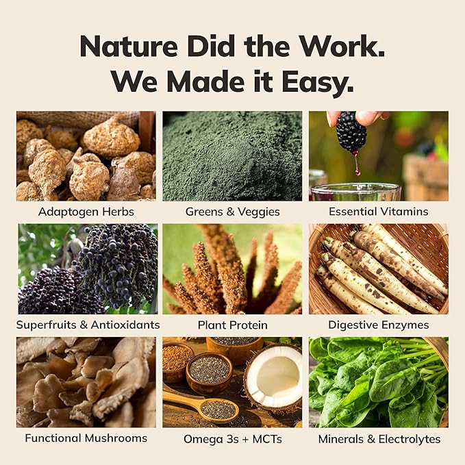 Ka?™Chava All-In-One Nutrition Shake Blend, Strawberry, 15 Servings, 85+ Superfoods & Nutrients, Greens Plant-Based Powder Protein Drink, Digestive Enzymes & Probiotics, Vegan Dairy Gluten Free