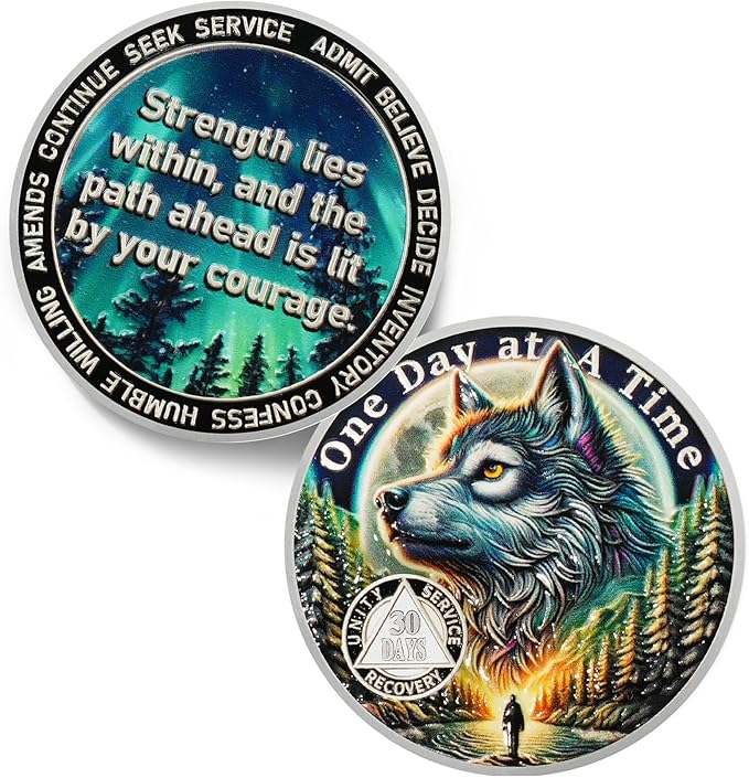 One Day at a Time 30 Day Sobriety Coin - Recovery Aurora Forest Wolf AA Coins - Addiction NA AA Chips and Medallions - Celebrate 1-30 Living Clean Sober Alcoholics Anonymous Gifts for Men Women