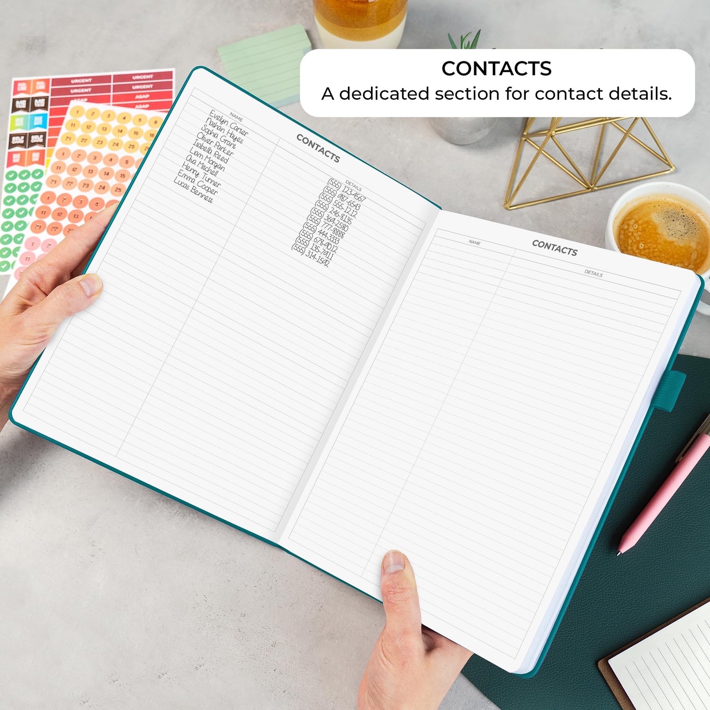 Clever Fox Appointment Book – Hourly Schedule Planner with 15-Minute Increments – Time Box Planner for Daily Work & To-Dos – Weekly & Monthly Spreads, Undated, Hardcover, 8.3x11″ (Dark Teal)